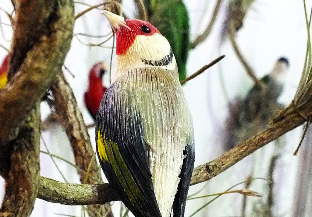 Museo de cera Museo de cera