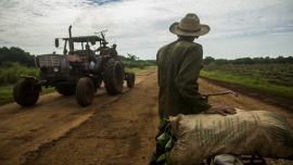 Sector agropecuario