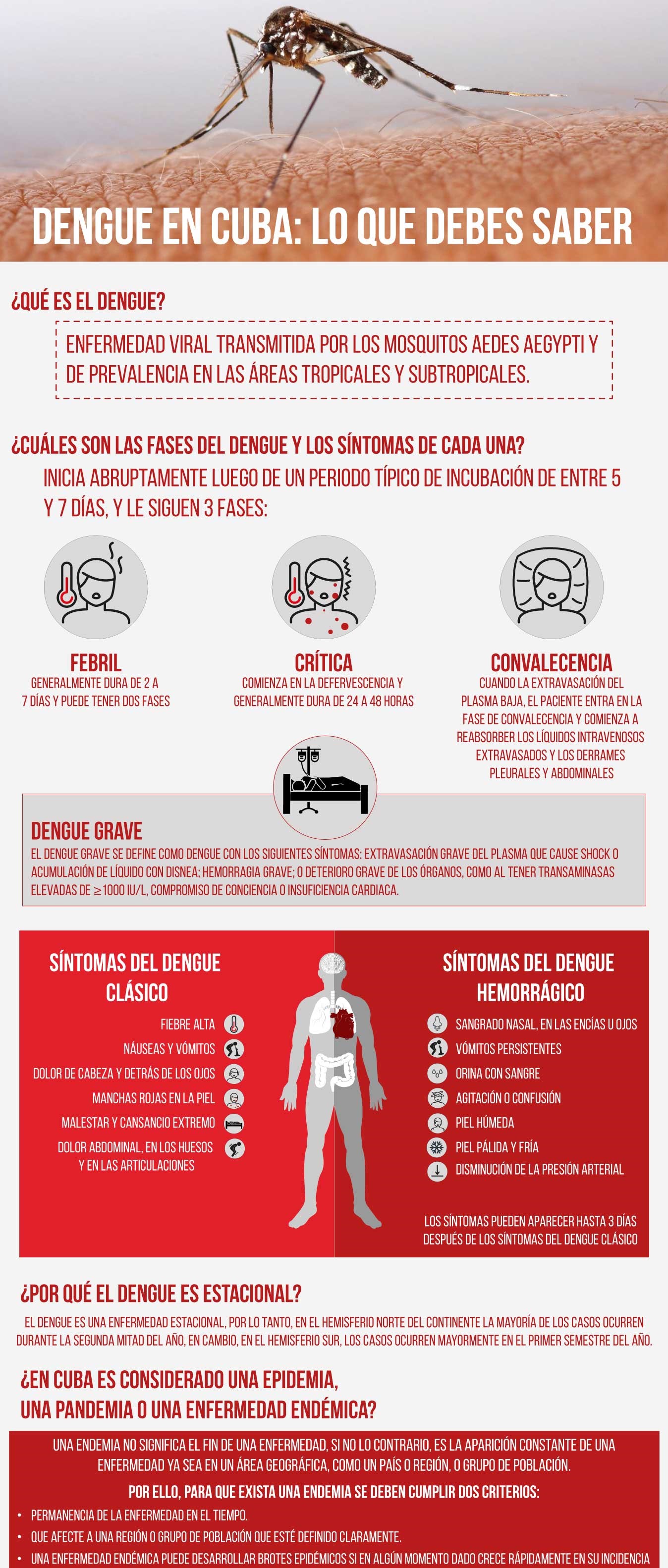 Dengue Editado Dengue Editado