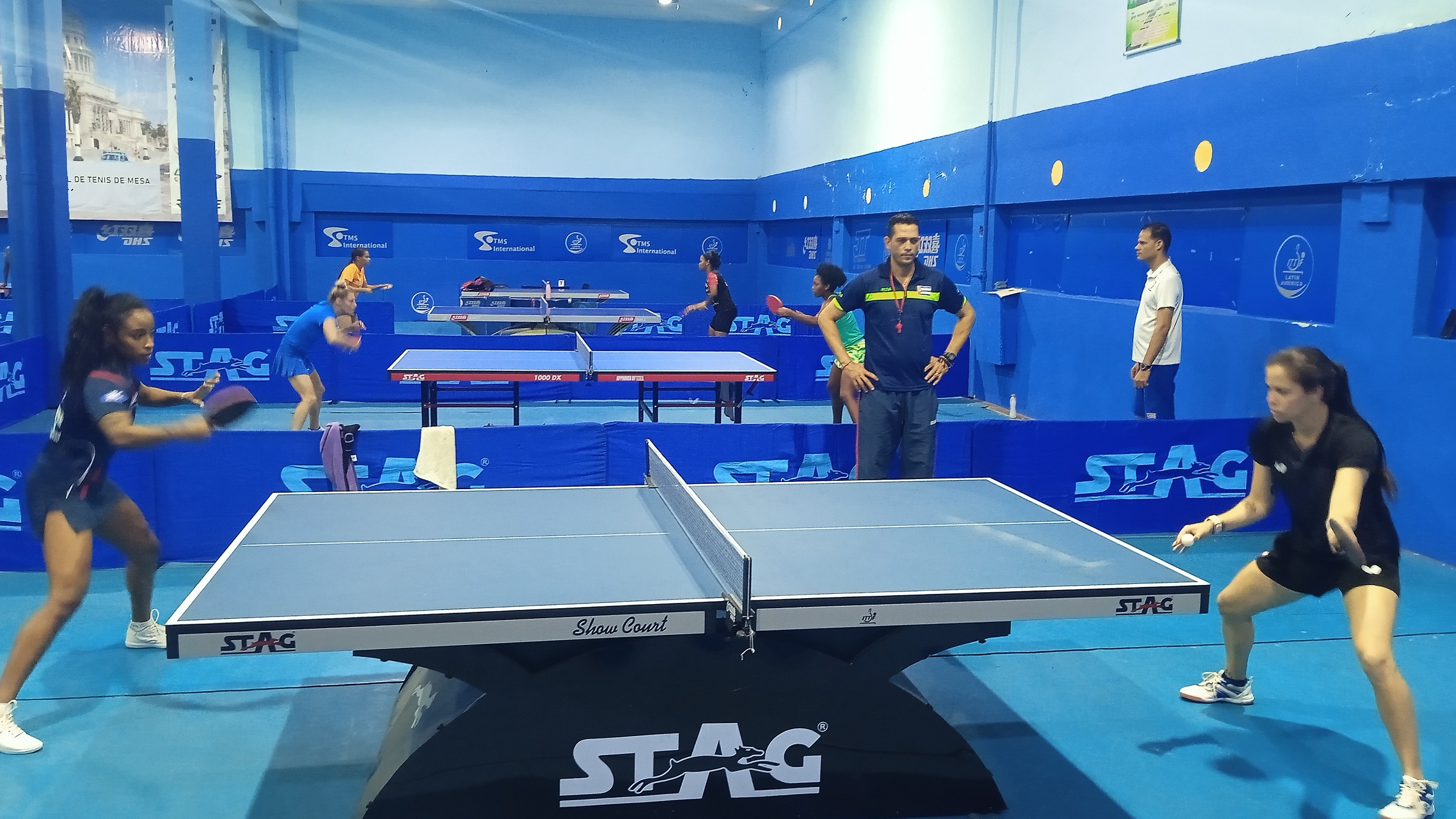 Tenis de mesa femenino Tenis de mesa femenino
