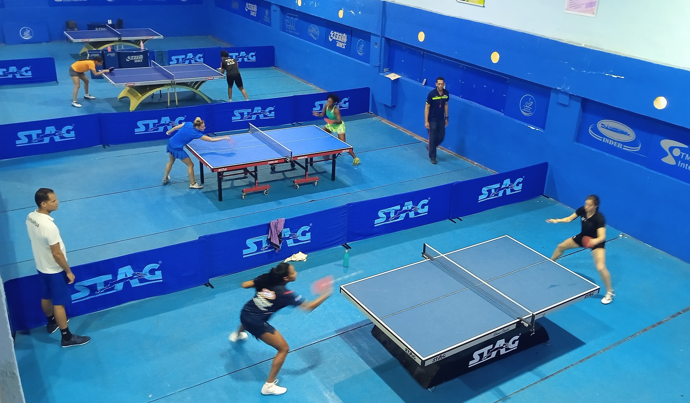 Tenis de mesa femenino Tenis de mesa femenino