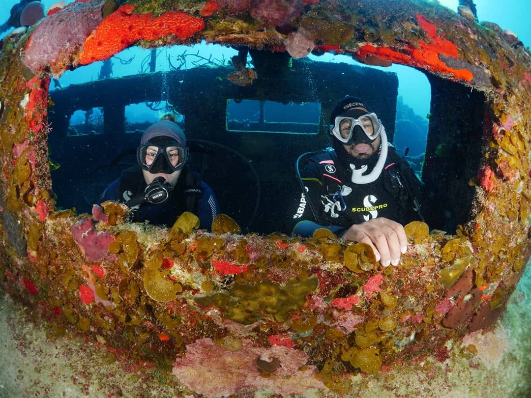 Fondos marinos de la Ciénaga de Zapata Fondos marinos de la Ciénaga de Zapata