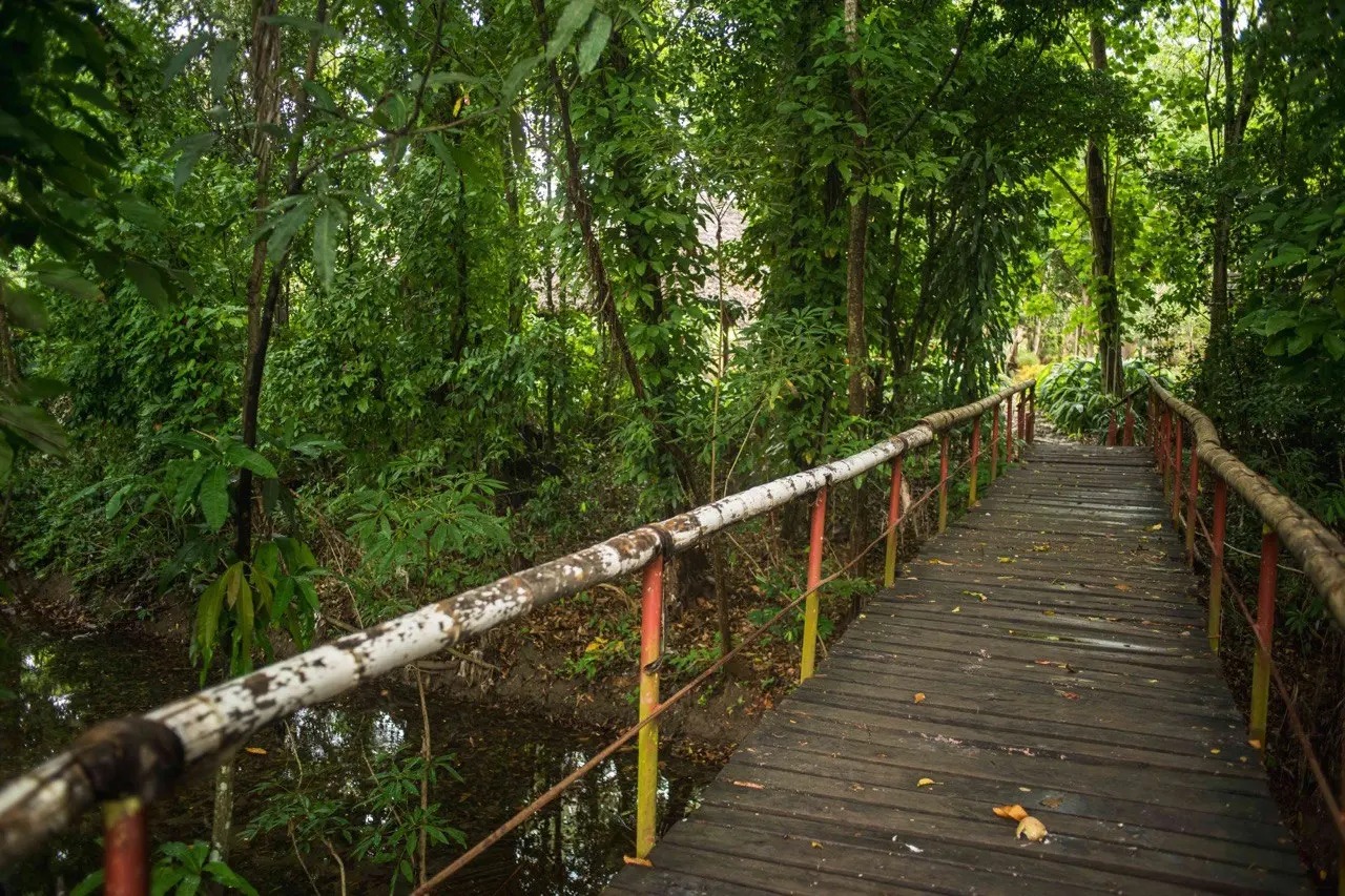 JARDÍN BOTÁNICO CUPAYNICÚ JARDÍN BOTÁNICO CUPAYNICÚ