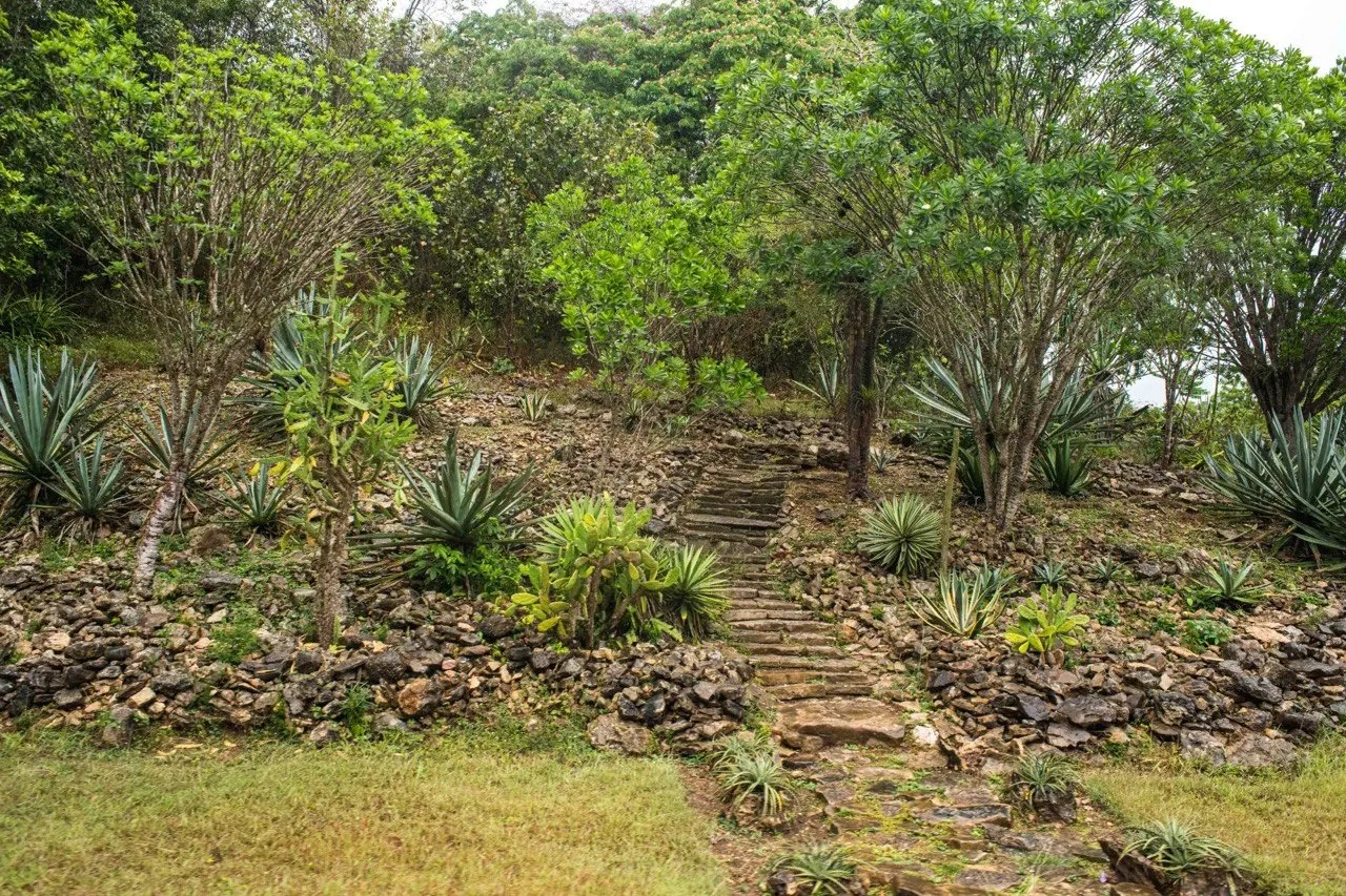 JARDÍN BOTÁNICO CUPAYNICÚ JARDÍN BOTÁNICO CUPAYNICÚ