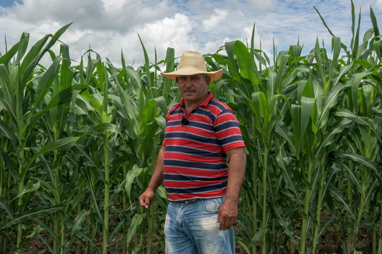 Campesinos cubanos Campesinos cubanos