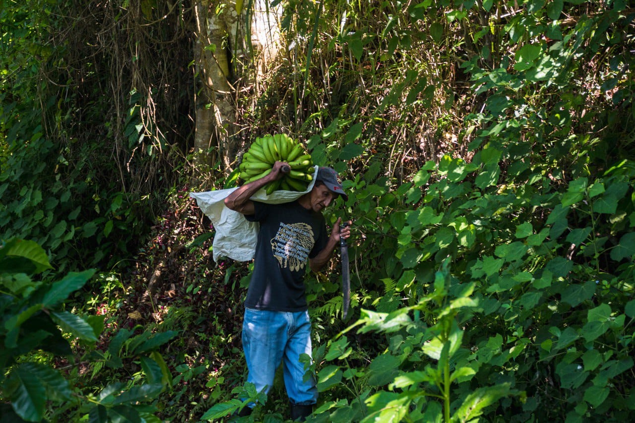 Campesinos cubanos Campesinos cubanos