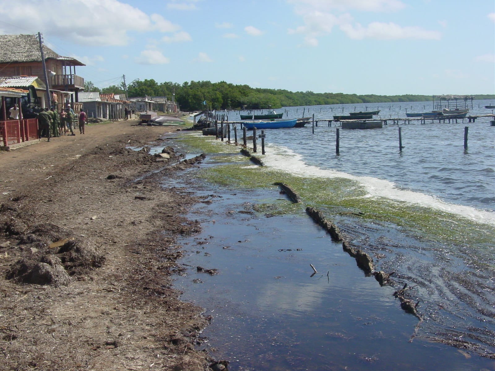 El avance del cambio climático promete intensificar la fuerza de los fenómenos hidrometeorológicos (Naturaleza Secreta de Cuba) El avance del cambio climático promete intensificar la fuerza de los fenómenos hidrometeorológicos (Naturaleza Secreta de Cuba)