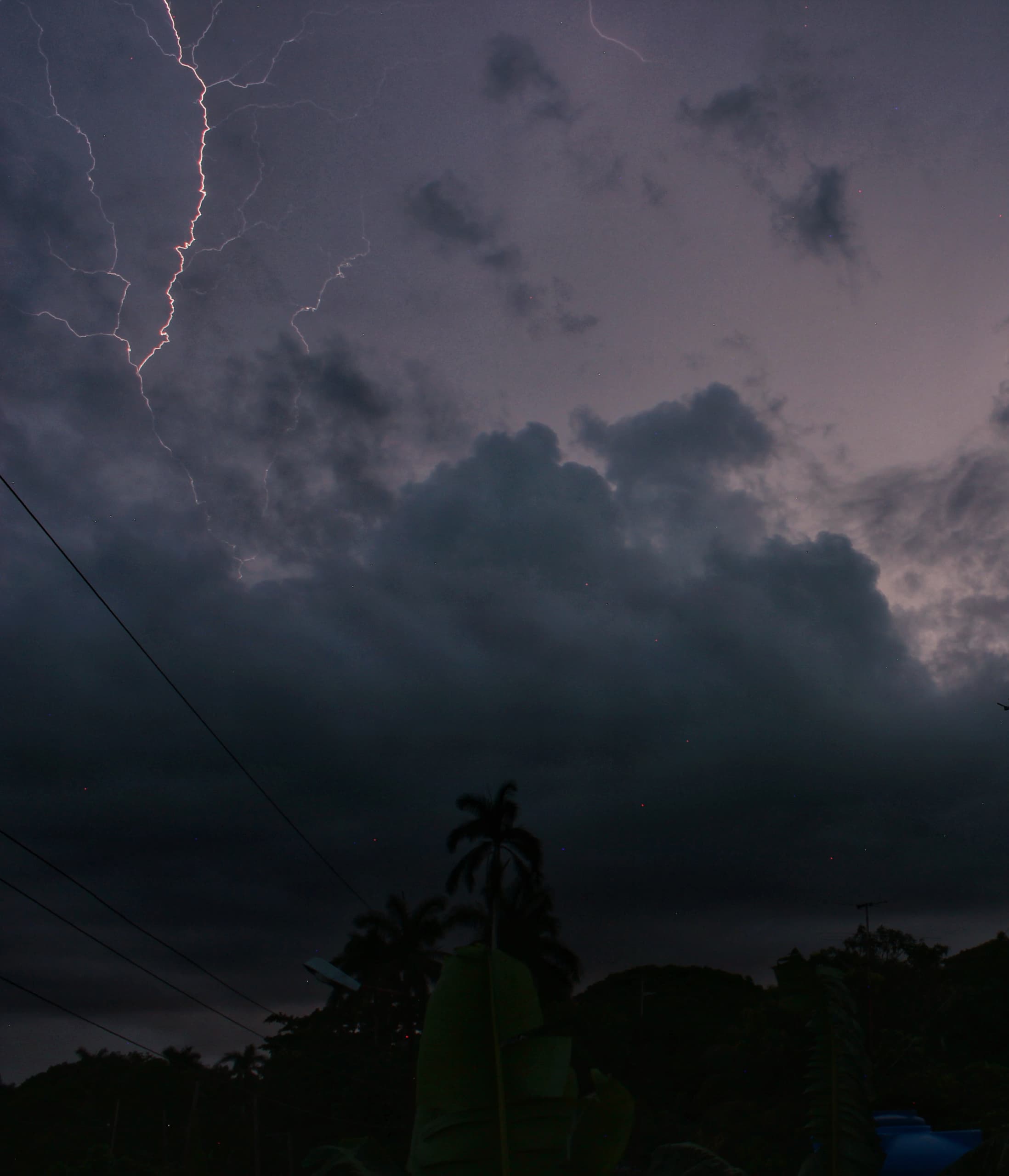 El año del avistamiento extraterrestre El año del avistamiento extraterrestre