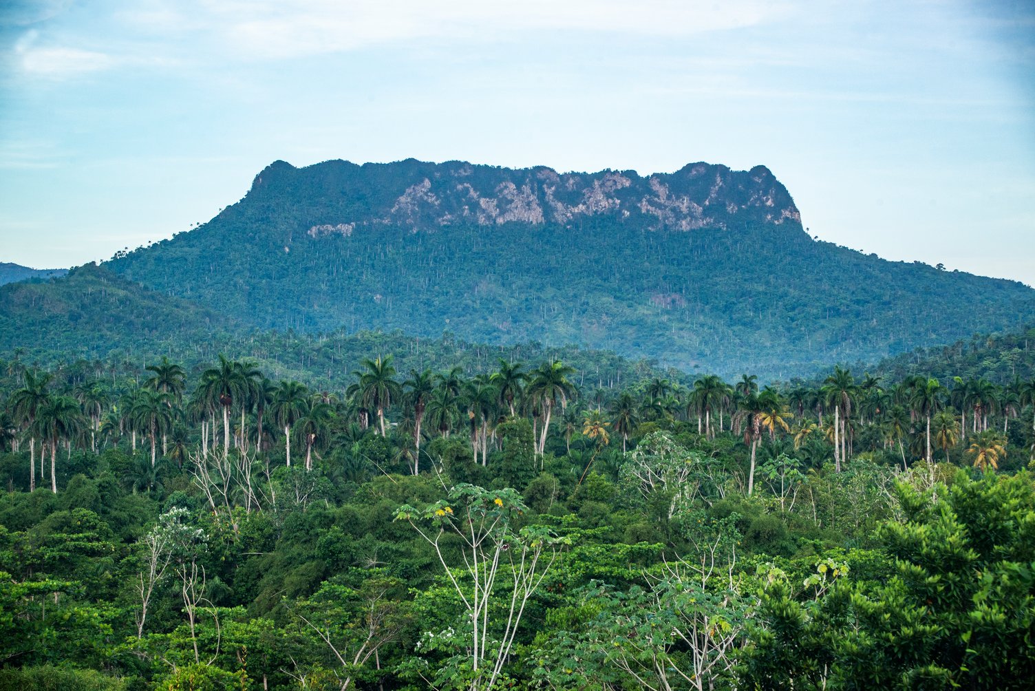 El Yunque de Baracoa El Yunque de Baracoa