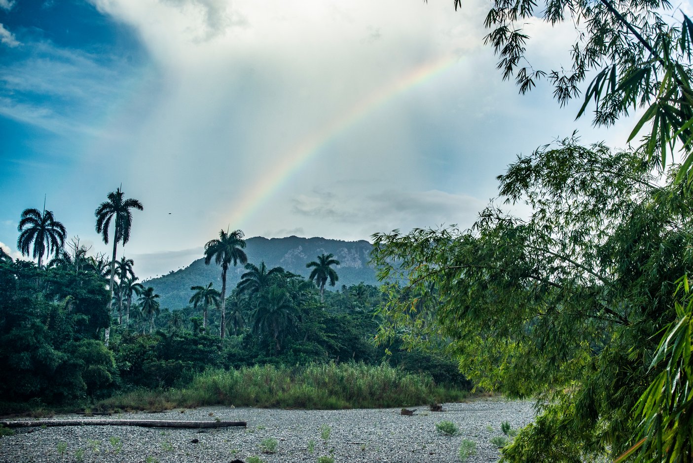 El regalo de la naturaleza El regalo de la naturaleza