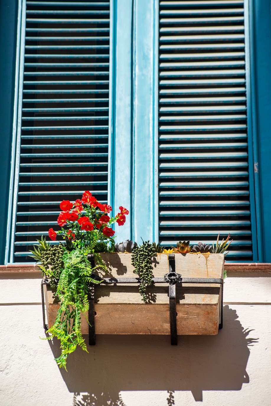 FotoNaratón Iberoamericana