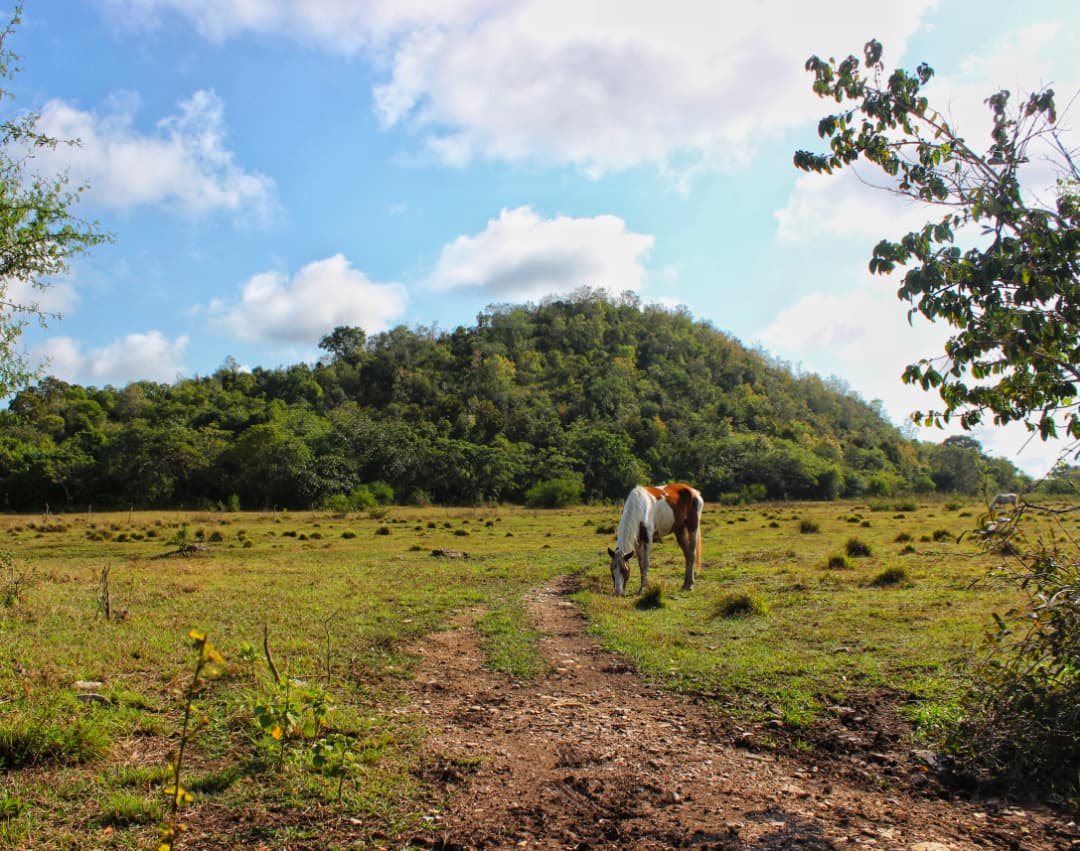 Los Mogotes de Jumagua: un mundo bajo la piedra (+Fotos) Los Mogotes de Jumagua: un mundo bajo la piedra (+Fotos)