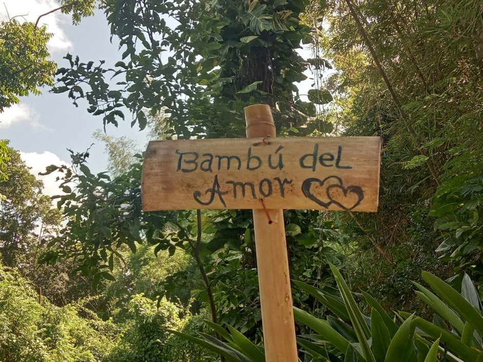 El Bambú del Amor