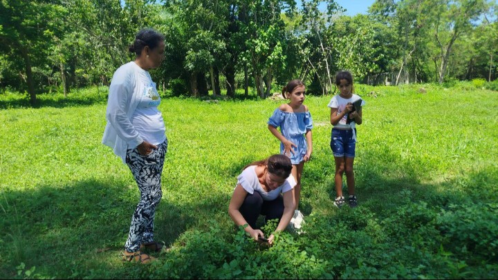 Talleres de verano para soñar Talleres de verano para soñar